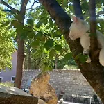 Azienda Agrituristica La Torretta Farm stay *