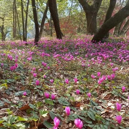 Фермерский дом Azienda Agrituristica La Torretta *