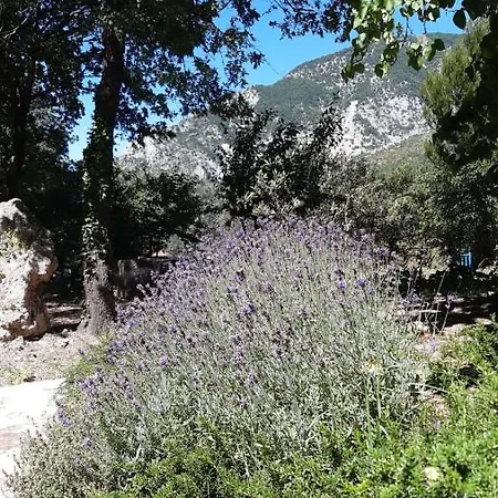 Gospodarstwo agroturystyczne Azienda Agrituristica La Torretta