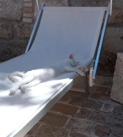 Lantgård Azienda Agrituristica La Torretta Tocco da Casauria
