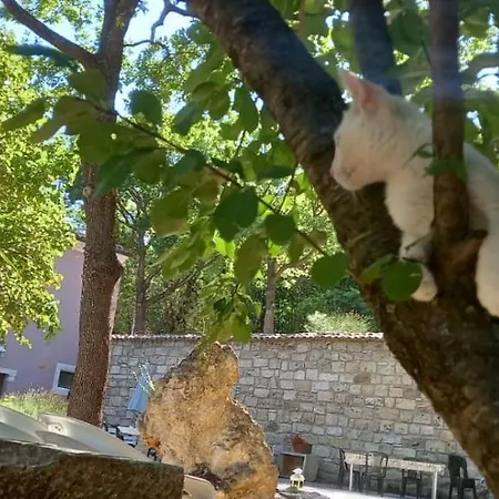 Azienda Agrituristica La Torretta Gospodarstwo agroturystyczne *