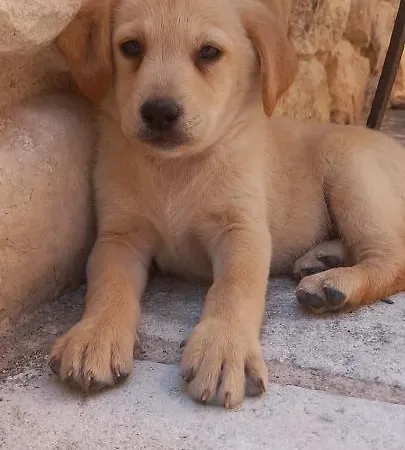 Azienda Agrituristica La Torretta