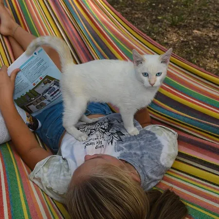 Azienda Agrituristica La Torretta Gospodarstwo agroturystyczne *