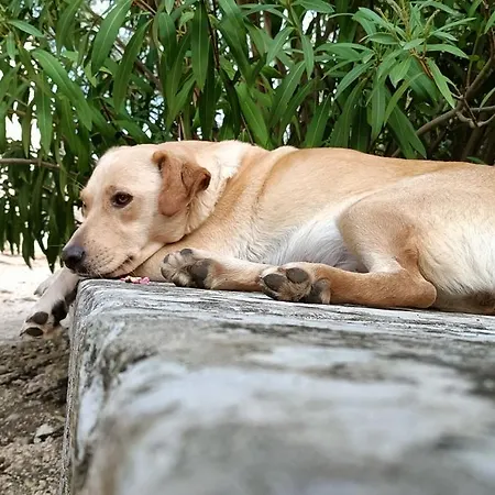 Azienda Agrituristica La Torretta Gospodarstwo agroturystyczne