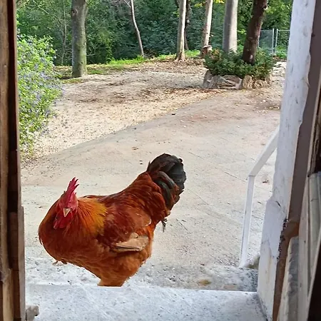 Azienda Agrituristica La Torretta Gospodarstwo agroturystyczne *