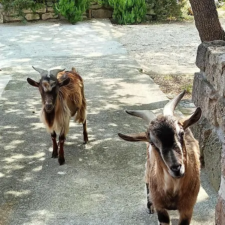 Azienda Agrituristica La Torretta