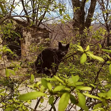 Azienda Agrituristica La Torretta Tocco da Casauria