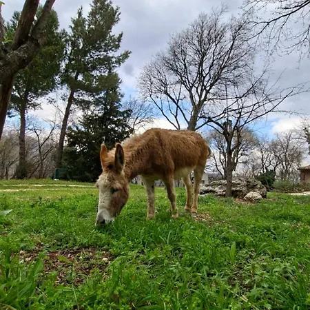 Azienda Agrituristica La Torretta Farm stay *