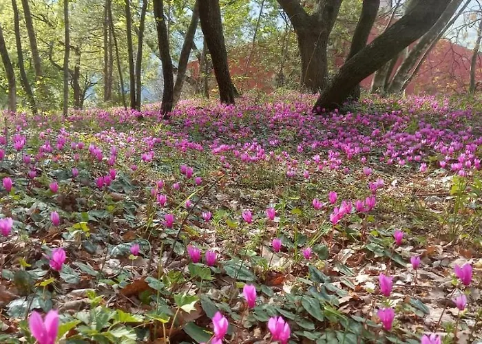 בית חווה Azienda Agrituristica La Torretta *