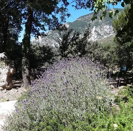 בית חווה Azienda Agrituristica La Torretta