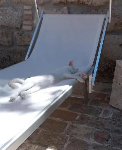 בית חווה Azienda Agrituristica La Torretta Tocco da Casauria