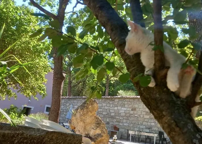 Azienda Agrituristica La Torretta בית חווה *