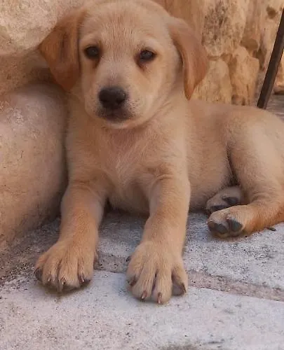 Azienda Agrituristica La Torretta