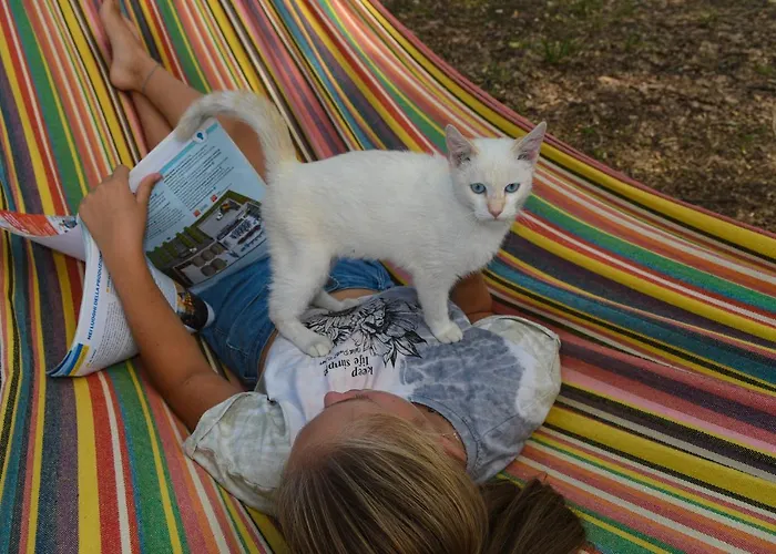 Azienda Agrituristica La Torretta בית חווה *