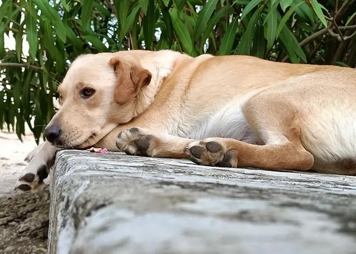 Azienda Agrituristica La Torretta Alloggio per agriturismo