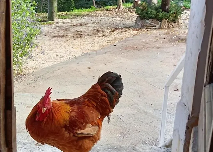 Azienda Agrituristica La Torretta Alloggio per agriturismo *