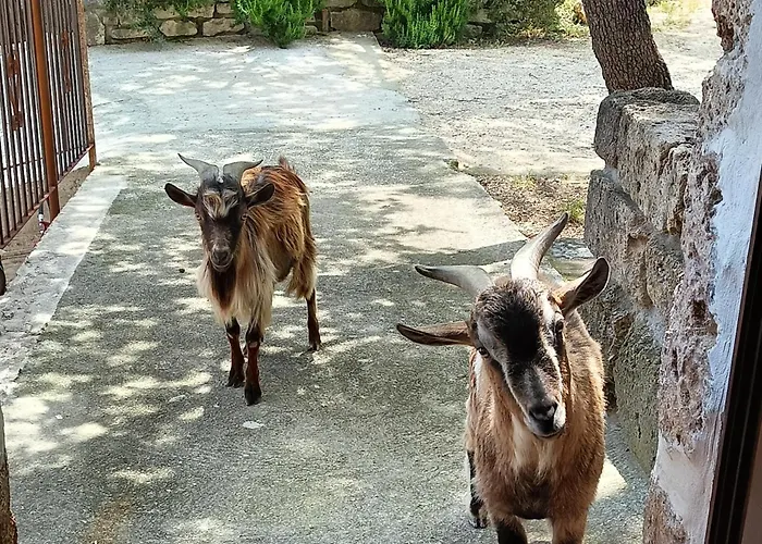 Azienda Agrituristica La Torretta